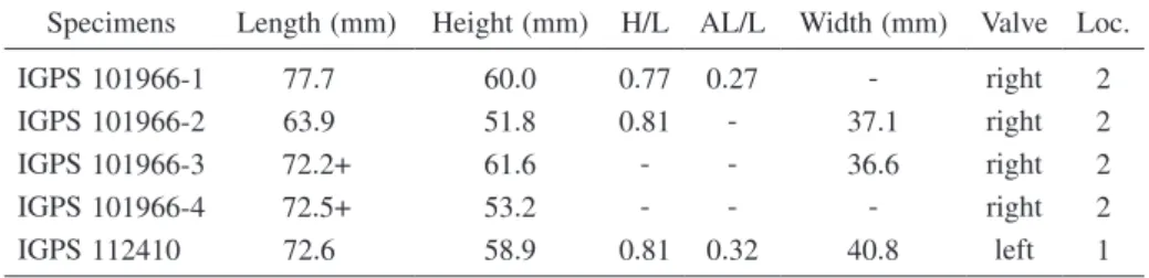 Table 2. Measurements of Saxidomus purpurata (Sowerby) from the Tatsunokuchi Formation