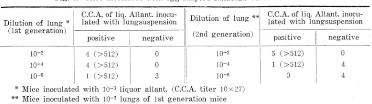 Fig.  3.  Mice  inoculated  with  egg‑adapted  Influenza  Virus  Strain  FM1