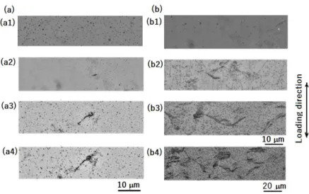 Fig.  6    Observation  of  crack  initiation  and  growth; ⒜σ a ＝260MPa,(a1)l 0 ＝0.0mm  and  N/N f ＝ 0.03,(a2)l 0 ＝ 0.004mm,  N/N f ＝ 0.059,  (a3)  l 0 ＝ 0.008mm,  N/N f ＝ 0.089,(a4)l 0 ＝ 0.013mm, N/N f ＝0.177;(b)σ a ＝320MPa,(b1)l＝0.0mm, N/N f ＝0.03,(b2) 