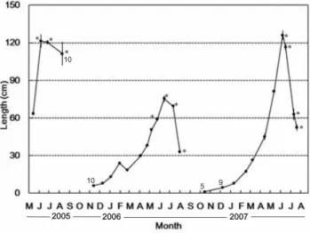 Fig. 5. Seasonal change in mean length of 20 thalli of Sargassum ilicifolium at Ogisaki from May 2005 to November 2007