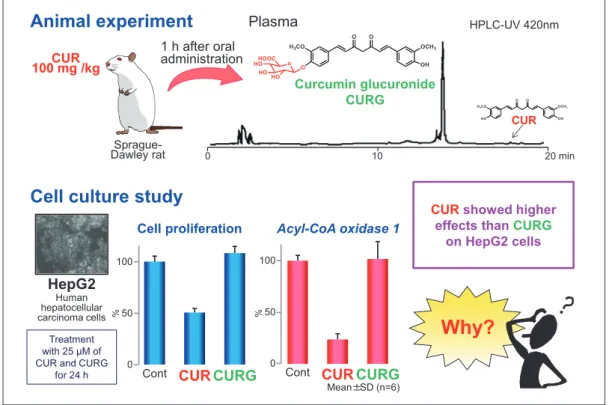Fig. 1 Comparison of effects of CUR and metabolites