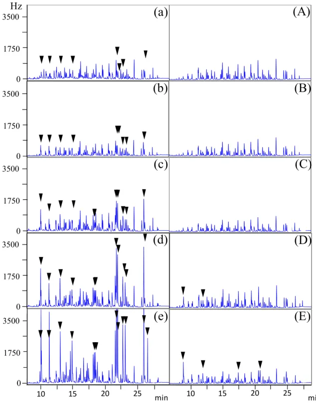 Fig. 5 GC/ECD chromatograms after cleanup of PCN standard by the conventional 
