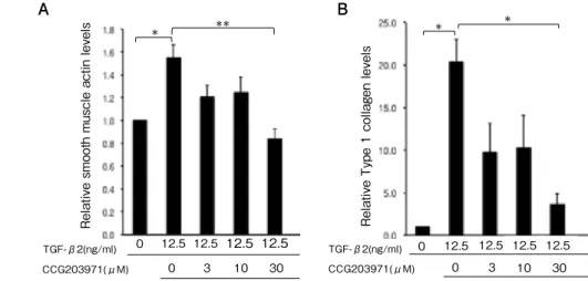 Fig. 4. Effect of CCG-203971 on α-SMA and type I collagen expressions in ARPE-19 cells treated with  TGF-β2 (p < 0.001, p < 0.0001, ANOVA, respectively)