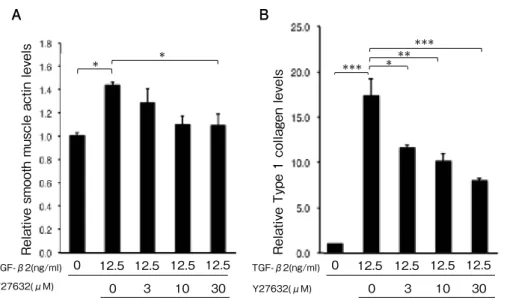 Fig. 7. Effect of Y27632 on α -SMA and type I collagen expressions in ARPE-19 cells treated with TGF- TGF-β2 (p < 0.05, p < 0.001, ANOVA, respectively)