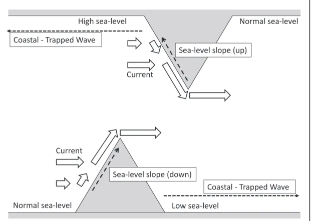 Fig. 1   Schematic diagram of current attaching to a cape and coastal sea - level slope in the northern hemisphere.
