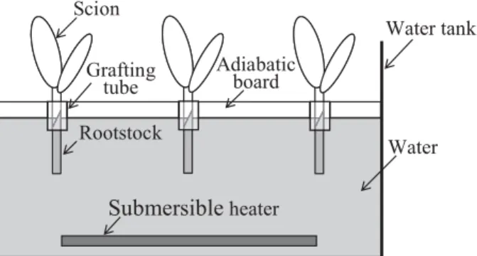 Fig. 1.  Schematic diagram of experimental setup to supply warmed water to graft union.