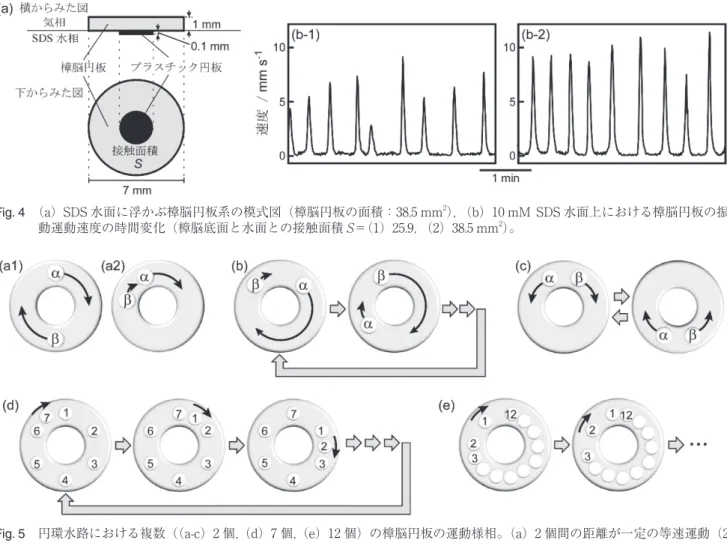 Fig. 5　円環水路における複数（（a-c）2 個， （d）7 個， （e）12 個）の樟脳円板の運動様相。（a）2 個間の距離が一定の等速運動（2