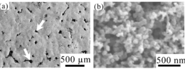 Fig.   3  Cross-sectional image of the MPL attached to the GDL,  which was obtained using an optical microscope in  bright-field mode
