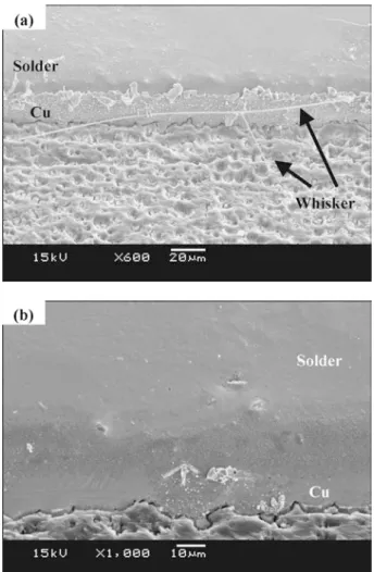 Fig. 2 Solder surface by SEM observation result (85° C, 85