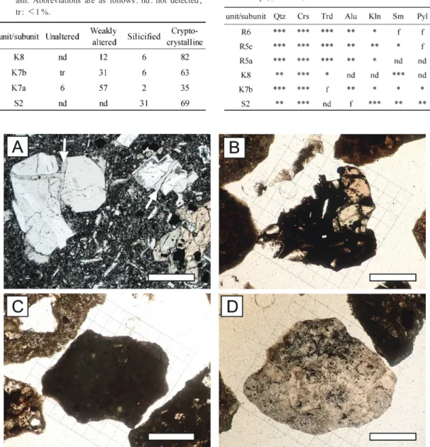 Fig. 8. Thin section photomicrographs of representative pyroclasts and fragments in tephras (plane-polarized light).