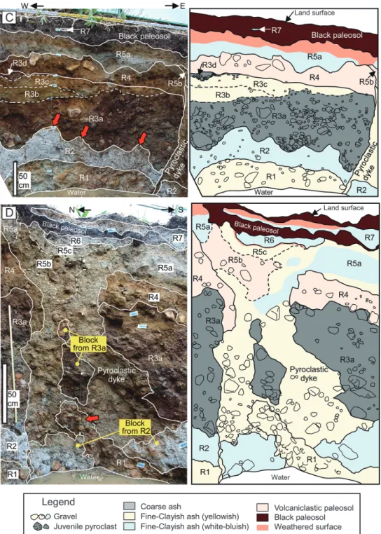 Fig. 5. Photographs (left) and sketches (right) of the cross-section of each trench. Solid lines show the boundary of units, and broken lines show the boundary of subunits