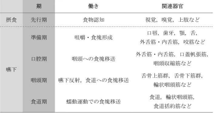 表 1 摂食嚥下の過程 (文献 14) を一部改編) 期 働き  関連器官 摂食 先行期 食物認知  視覚, 嗅覚, 上肢など 嚥下 準備期 咀嚼・食塊形成 口唇, 歯牙, 顎, 舌,  外舌筋・内舌筋, 咬筋など 口腔期 咽頭への食塊移送  外舌筋・内舌筋, 口蓋帆張筋,  咽頭収縮筋など 咽頭期 嚥下反射，食道への食塊移送 舌骨上筋群, 舌骨下筋群,  輪状咽頭筋など 食道期 蠕動運動での食塊移送 食道, 輪状咽頭筋,  食道括約筋など 