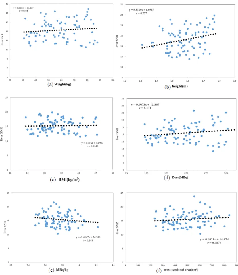 Fig. 7　Correlation between respective characteristics liver SNR.