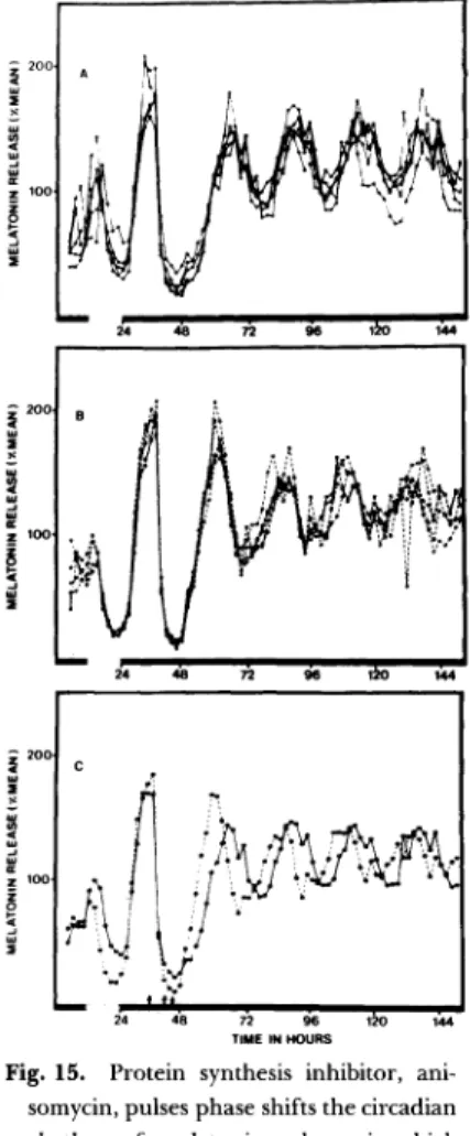 Fig.  17.  Effects  of  anisomycin  on  the  light-induced  phase shift  in  chick  pineal  cells