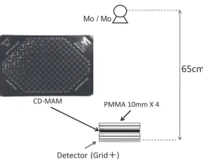 Fig 2 Grayscale  image of a CDMAM phantom obtained with a  CR system  （a） ,  Invert grayscale image  （b）.