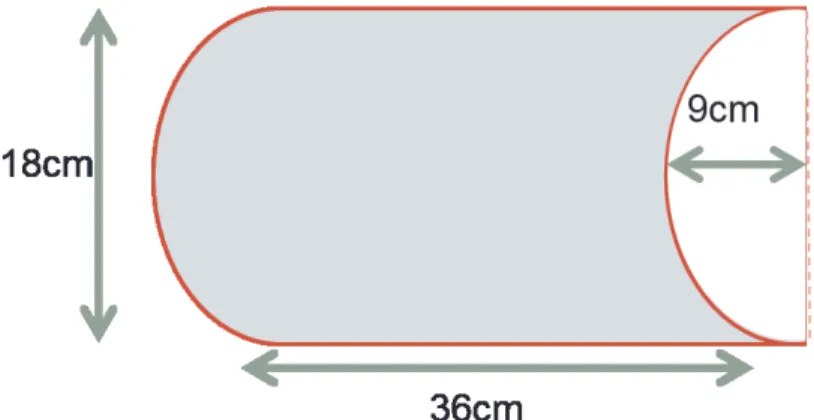 図 2.9 刺激の模式図