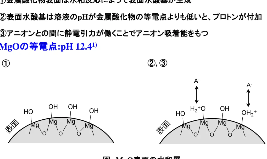 図 MgO表面の水和層
