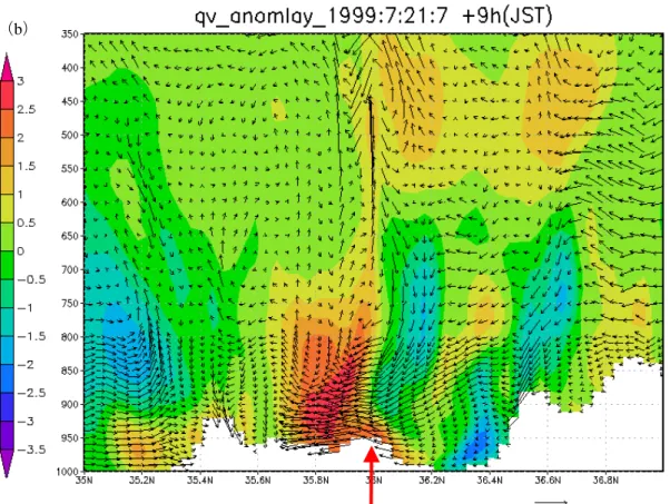 図 22  1999 年 7 月 21 日 7 時（UTC）の水蒸気混合比（g/kg）の偏差（1999 年 7 月 21 日 7 時（UTC）－計算期間全体の平均）．ベクトルは南北風，鉛直流（m/s）を示す．鉛直流は 10 倍したもの． 