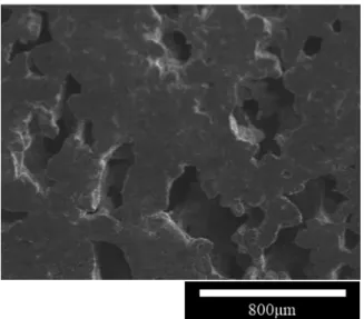 Fig. 6  SEM image showing porous Mg-5mass%Zn  (designed relative density 50%).