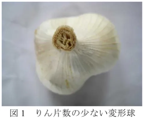 表 1 各品種特性