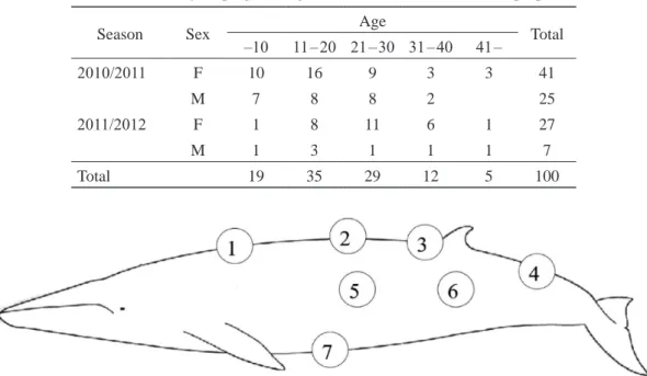 Table 1. Sample used in the epigenetic study of Antarctic minke whale, by  austral summer season, sex and age classes