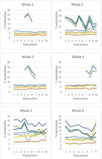 Fig. 4. Comparison of CpG methylation levels at multi- multi-ple body positions in six individual Antarctic minke  whales:  ( ) GRIA2_CpG + 202, ( ) TET2_CpG + 16,  ( ) TET2_CpG + 21, ( ) TET2_CpG + 31, ( )  CDKN2A_CpG + 297, ( ) CDKN2A_CpG + 303 and  ( ) 