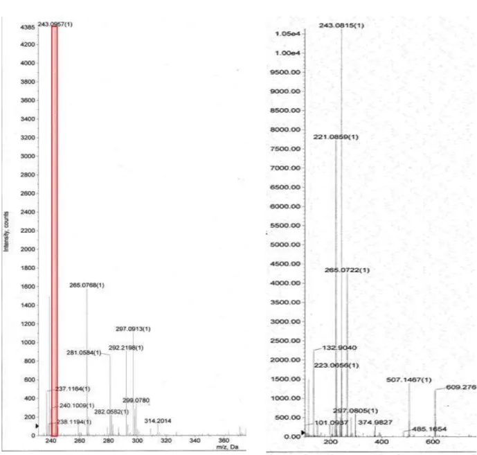 Fig  6 . 黄 色 色 素 2(a)およびルミクロム標 品 (b)の LC-ESI-MS スペクトル  