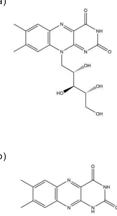 Fig  7 . リ ボフラ ビン ( a )とルミク ロム ( b )の構 造