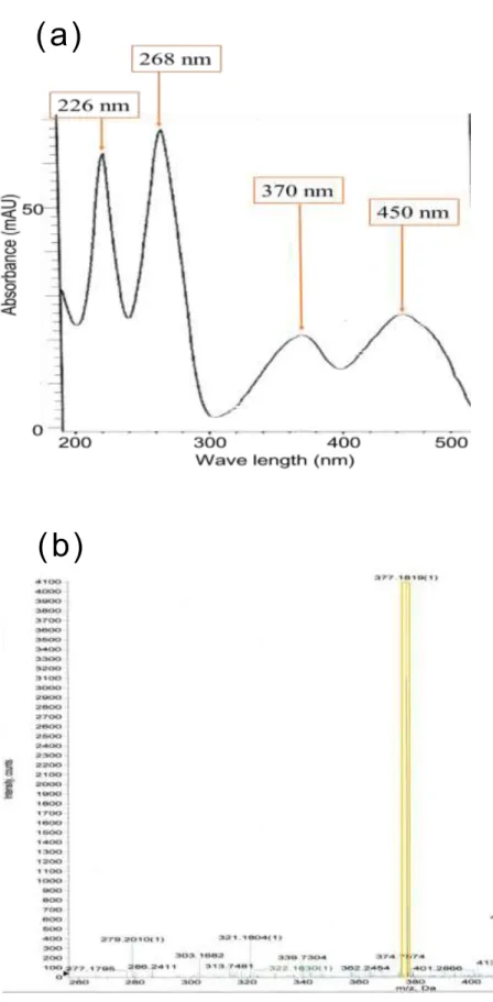 Fig  8 . 百 日 咳 菌 SK 2 株 が分 泌 した リボフラ ビンの検 出   ( a )紫 外 可 視 吸 収 ス ペクトル (b ) LC-ESI-MS スペクトル
