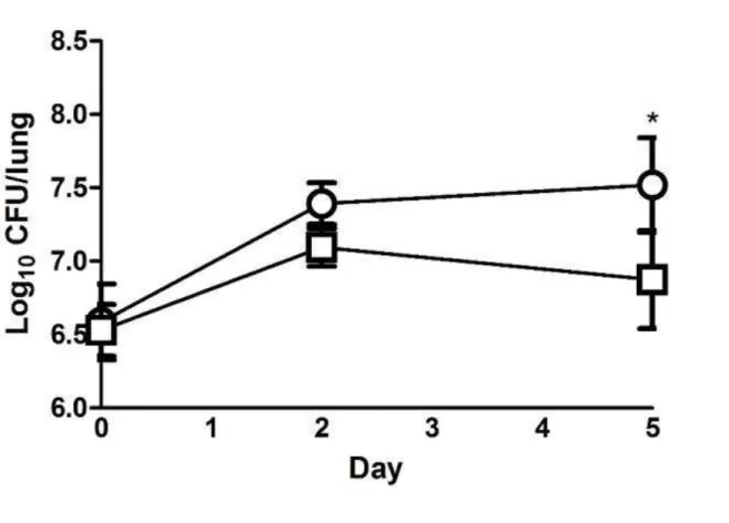 Fig  1 4.  ル ミ フ ラ ビ ン が マ ウ ス モ デ ル に お け る 百 日 咳 菌 肺 内 生 菌 数 に お よ ぼ す 影 響   百 日 咳 菌 東 浜 株 と ル ミ フ ラ ビ ン の 同 時 経 鼻 接 種 群 (四 角 印 ) と ル ミ フ ラ ビ ン 非 接 種 群 ( 丸 印 ) の マ ウ ス 肺 内 生 菌 数 の 推 移 を 示 す 。 感 染 0 日 （ 2 時 間 ） 、 2 日 、 お よ び 5 日 後 の 肺 内 生 菌 数 を 算 定 し た 。 