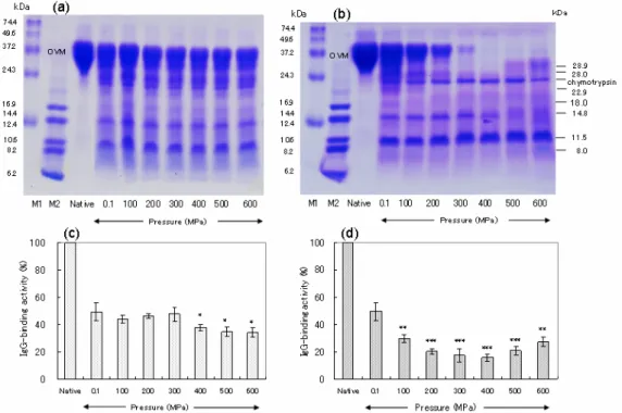 Fig. 3.  Effect of combined high-pressure /α-chymotryptic treatment on OVM with respect to  hydrolysis and binding activity to rabbit anti-sera against OVM