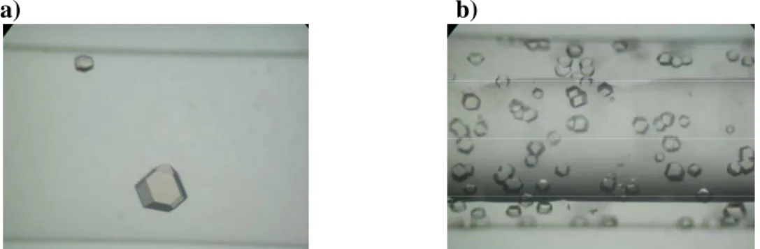 Fig. 4   Crystal growth at 0.1 MPa in GC with (a)) and without (b)) nucleation control  3.2  結晶の大きさと溶液共存下での分解能   タンパク質の X 線結晶構造解析を実施して、三次元分子構造を決定していく際に分解能が 非常に重要になる。分解能の値が 4.0~3.5 Åでアミノ酸残基の空間的な位置を議論することが でき、 2.5  Å程度で残基の側鎖の向きを大まかに決定することができる。そして、 2.0 Å近く のデ