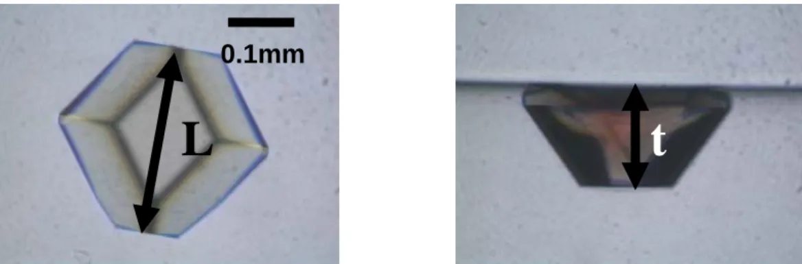 Fig. 5 L indicates the length of crystal. t indicates the thickness of crystal 0.1mmL t  Fig.5 の L は結晶の長さ、t を結晶の厚みと考えて、結晶の大きさと分解能の関係を Table1.に 示した。その結果から、 A 結晶より大きければ、 2.5  Åよりもより高分解能のデータを得るこ とが可能で、B 結晶程度の大きさで高分解な値がより多く、データとして現れてくることが わかる。タンパク質の構造の変化を考えていく