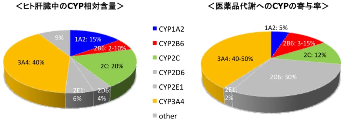 Fig. 1  ヒ ト CYP 分 子 種 の 相 対 含 量 お よ び 医 薬 品 代 謝 へ の 寄 与 率 （ * 酵 素 誘 導 評