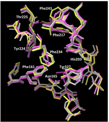 Fig. 11  鍵 穴 構 造 I，J お よ び X 線 結 晶 構 造（1XVP; hCAR1+A）の リ ガ ン ド 結 合 部