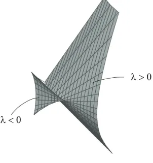 Figure 7. a positive swallowtail