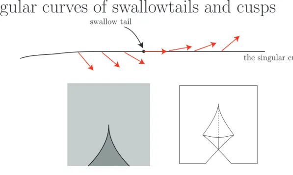 Figure 10. a cusp and a swallowtail