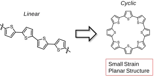Fig. 2-1-7  チオフェン環を用いた環化 