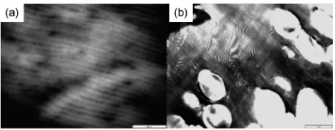 Figure 1. TEM images of ( a ) a neat SI diblock copolymer and ( b ) its blend with 10 wt% of divinylbenzene ( DVB ) cross - linked particles having a diameter of 3 µm