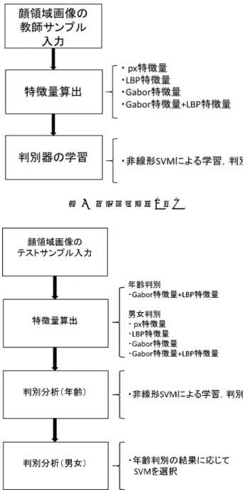 図 4 男女判別処理の流れ 図 5 年齢推定を行った時の男女判別処理の流れ 用いたものと同様の特徴量 4 種類，判別器には非線形 SVM を用いる。 3 実験結果 3.1 年齢推定 年齢判別実験における各特徴量の判別精度を図 6 に示す。判別率は px 特徴量を用いると 91.1% ， LBP 特徴量を用いると 95.0% ， Gabor 特徴量を用いると 93.7% ， Gabor+LBP 特徴量を用いると 96.1% となっ た。以上より， px 特徴量を用いた場合が最も低く， Gabor+LBP 特徴