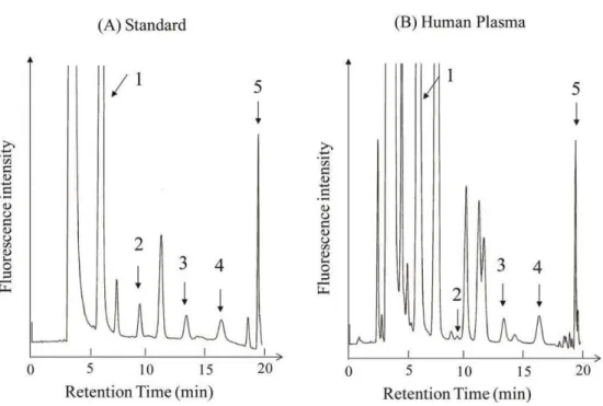 Figure 3.  (A)  標品のクロマトグラム (1)  L -Arginine, (2) 0.5 mM  L -NMMA, (3) 0.5 mM  ADMA, (4) 0.5 mM SDMA, (5) 1.0 mM N-PLA（内標準物質） 