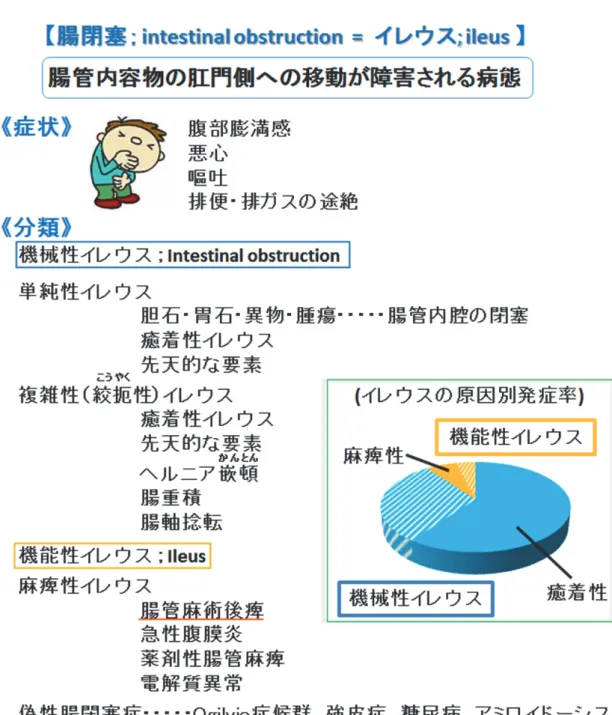 図 1.  イレウスの概要 