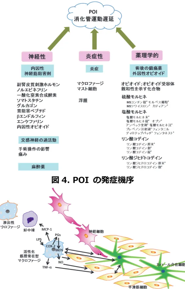 図 4. POI  の発症機序 