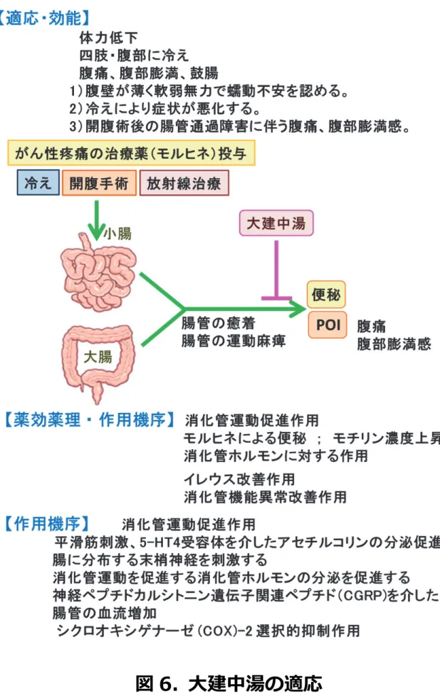 図 6.  ⼤建中湯の適応