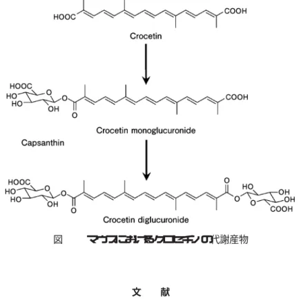 図 マウスにおけるクロセチンの代謝産物 文 献 ῌ ῌ ῌ ῌ ῌ ῌῌ ῌ ῌ ῌ