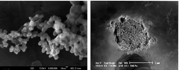 図 7   分散後のフュームドシリカと粗大粒子の形状