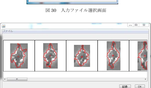 図 31  時系列処理時の画面 
