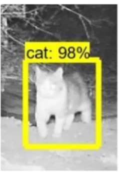 Fig. 4.    Vermin detection system.
