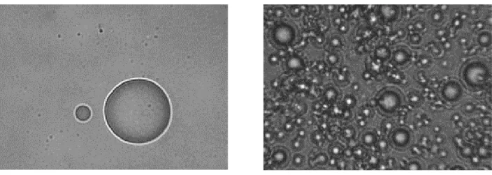 Fig. 4 Microphotograph