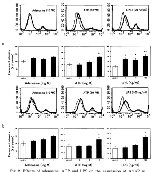 Fig.  2  Effects  of  adenosine,  ATP  and  LPS  on  the  expression  of  A  2  aR  in 